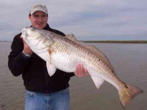 Warren's Largest Redfish of the Day